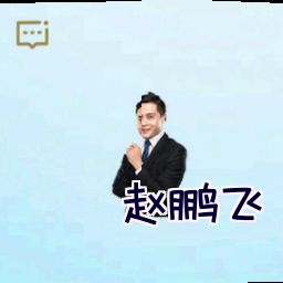 赵鹏飞